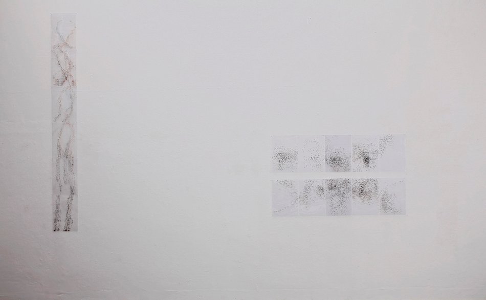 Schwarm, Ausstellungsanicht, Siebdruck und Acryl auf Folie, 2014